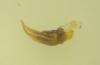 270749 – Photo : Samuel Prunot – France (21)